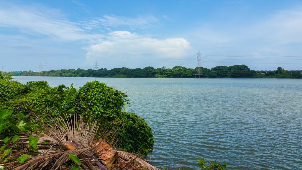 River View Guest House - Kavitha Residency Mangalore Exterior foto